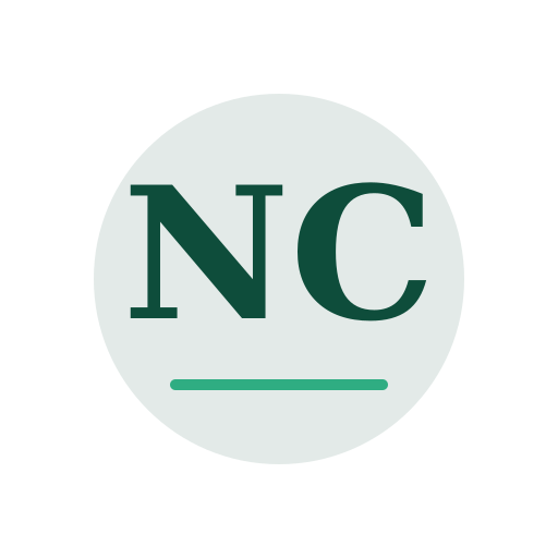 Novi Chimney Repair logo